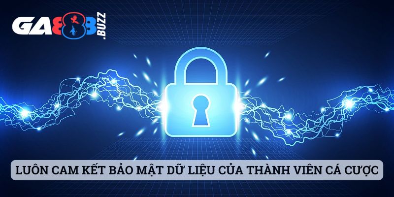 Luôn cam kết bảo mật dữ liệu của thành viên cá cược