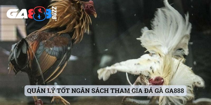 Quản lý tốt ngân sách tham gia đá gà Ga888